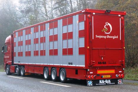 Lastbilmægler leverer ny grisetrailer til gård ved Skanderborg