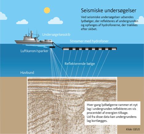 Havmiljøet i Kattegat skal undersøges