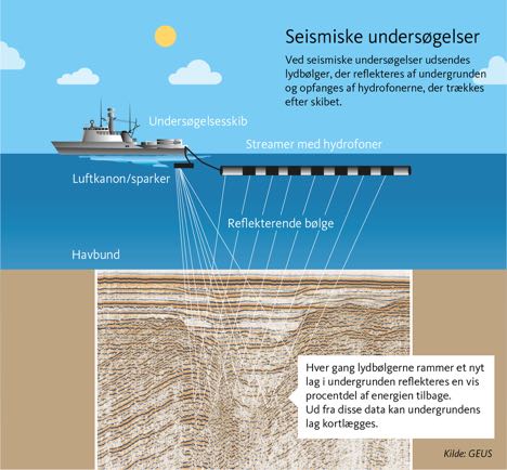 Havmiljet i Kattegat skal undersges 