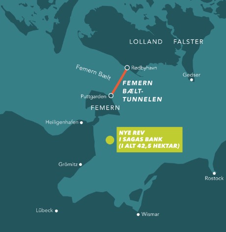 Tunnelbygger søger efter sten - til nyt rev