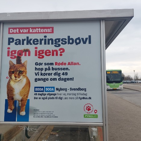 Styrket busbetjening på Østfyn bliver promoveret med kattepoter